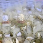 Μπομπονιέρα κερί με ζωάκια της ζούγκλας