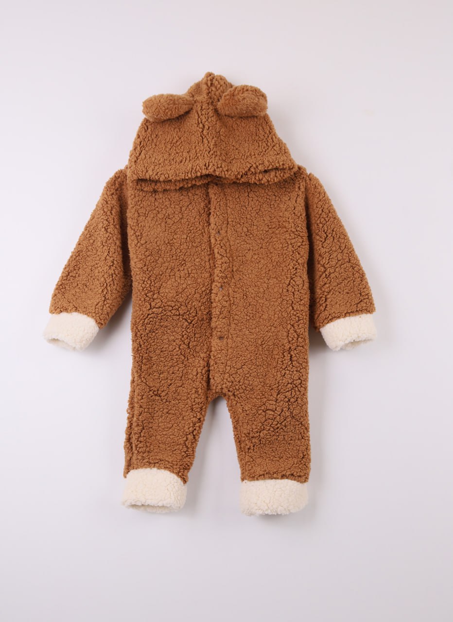 IMG_2751 Little bear - Image 1