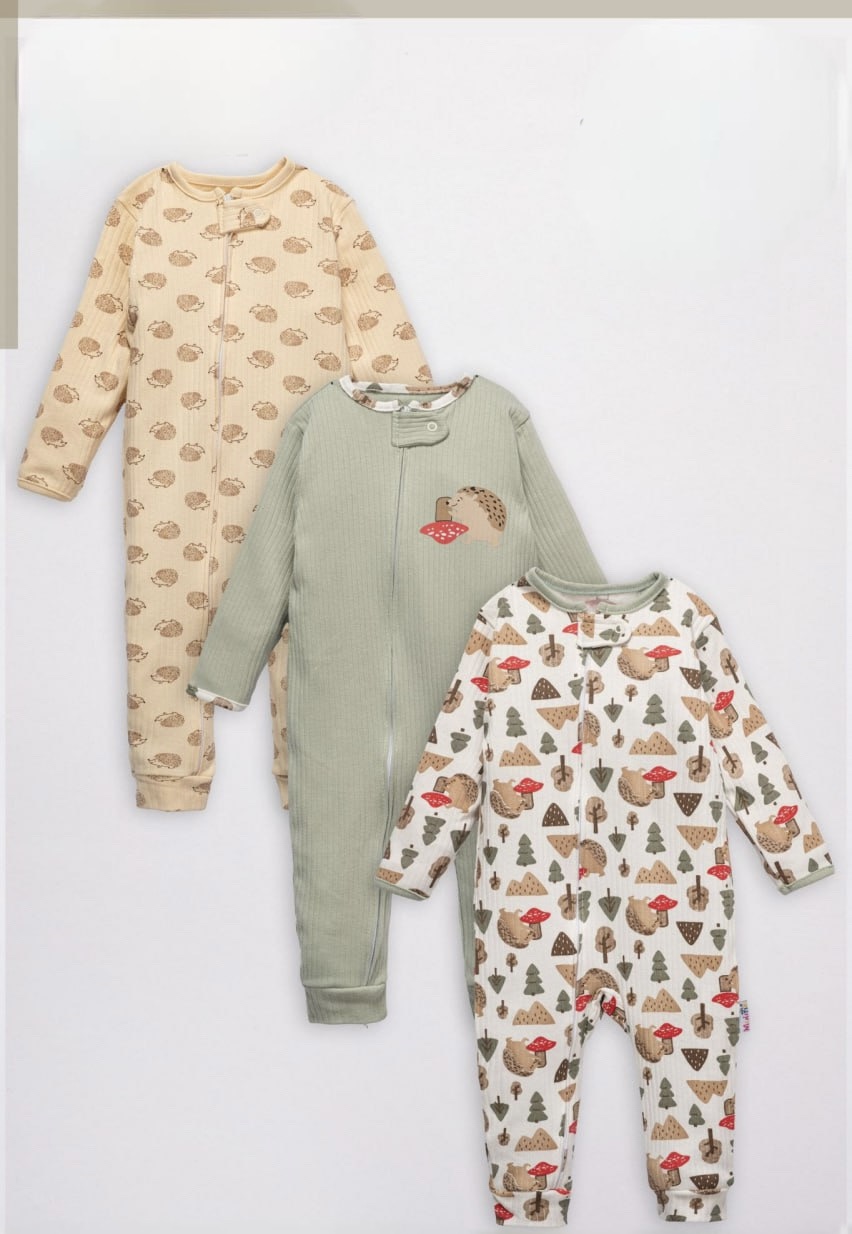 89C42511-493A-4B71-8454-170201B8133B Baby hedgehog - Image 1